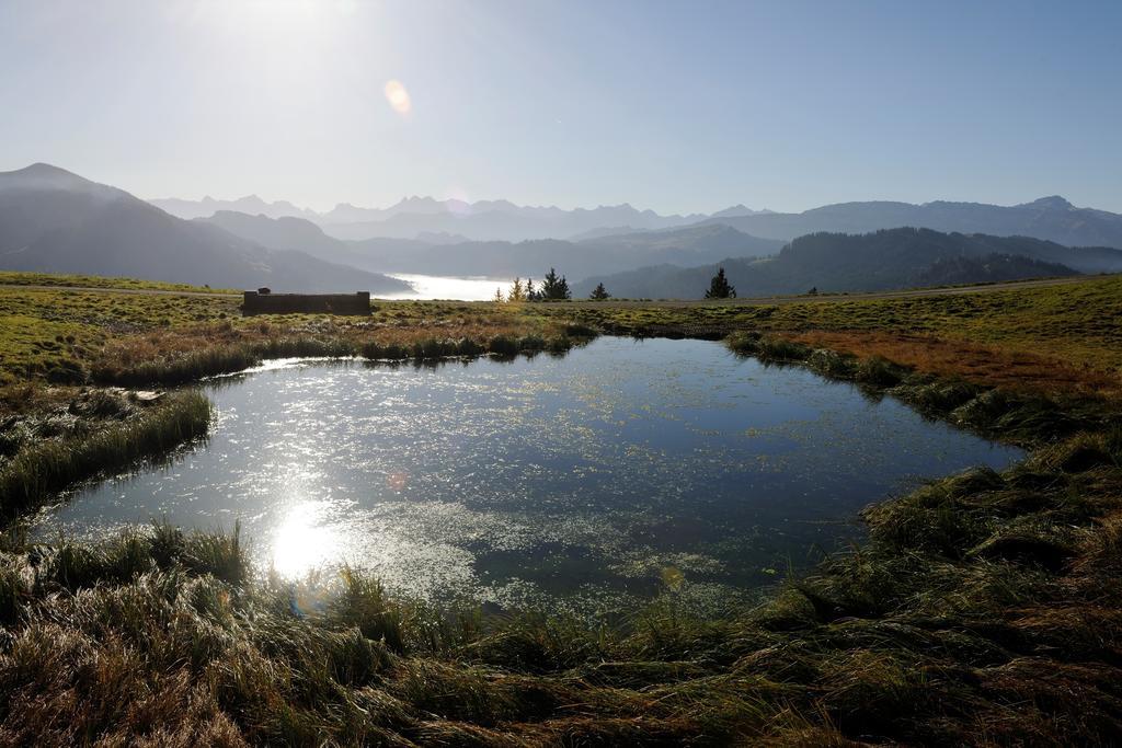 Hubertus Mountain Refugio Allgaeu Балдершванг Екстериор снимка